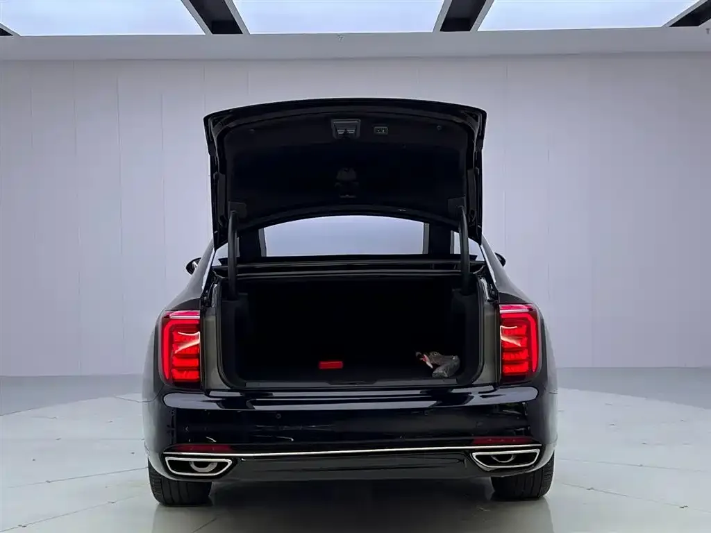 Hongqi H9 2024 из CN, фото 9