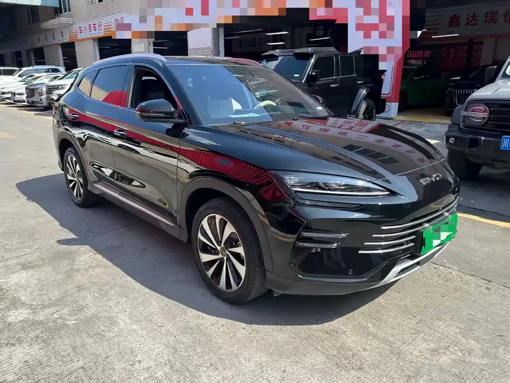 BYD PLUS New Energy 2024 из CN, фото 2