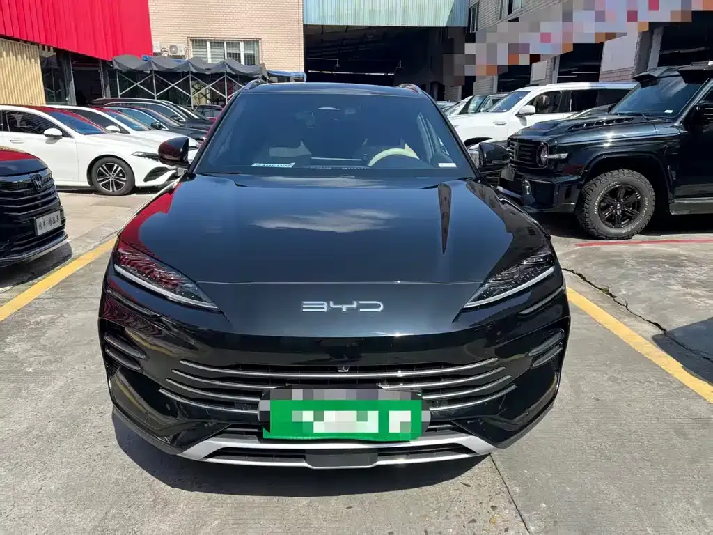 BYD PLUS New Energy 2024 из CN, фото 4