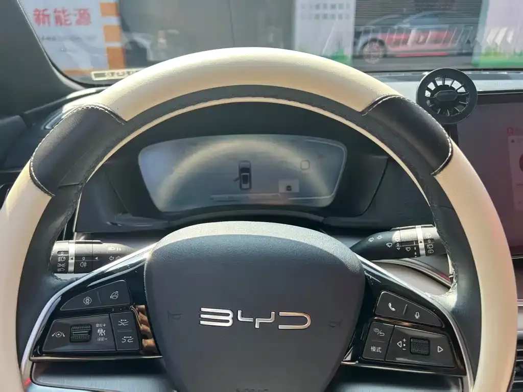 BYD PLUS New Energy 2024 из CN, фото 6