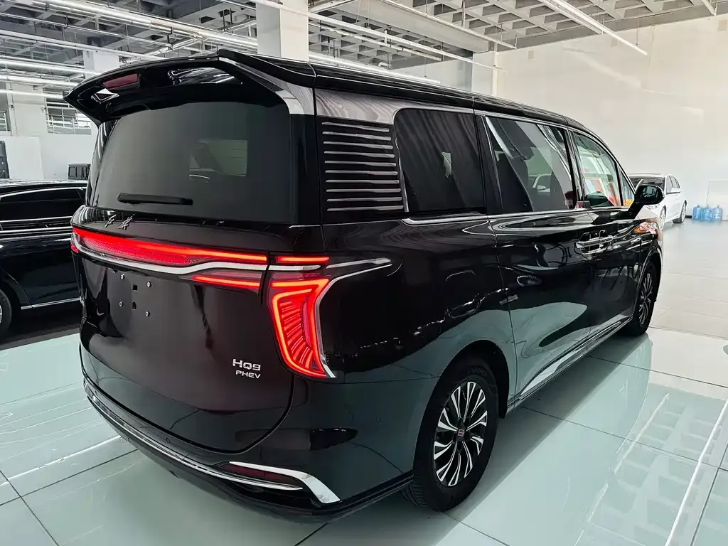 Hongqi HQ9 PHEV — фото 6