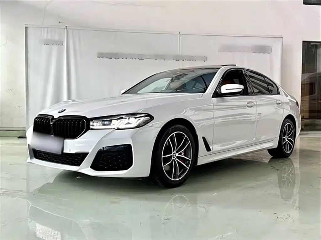 BMW 5 Series (Import) — фото 1