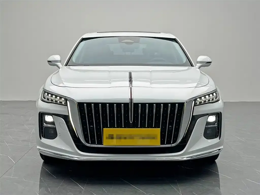 Hongqi H5 2023 из CN, фото 2