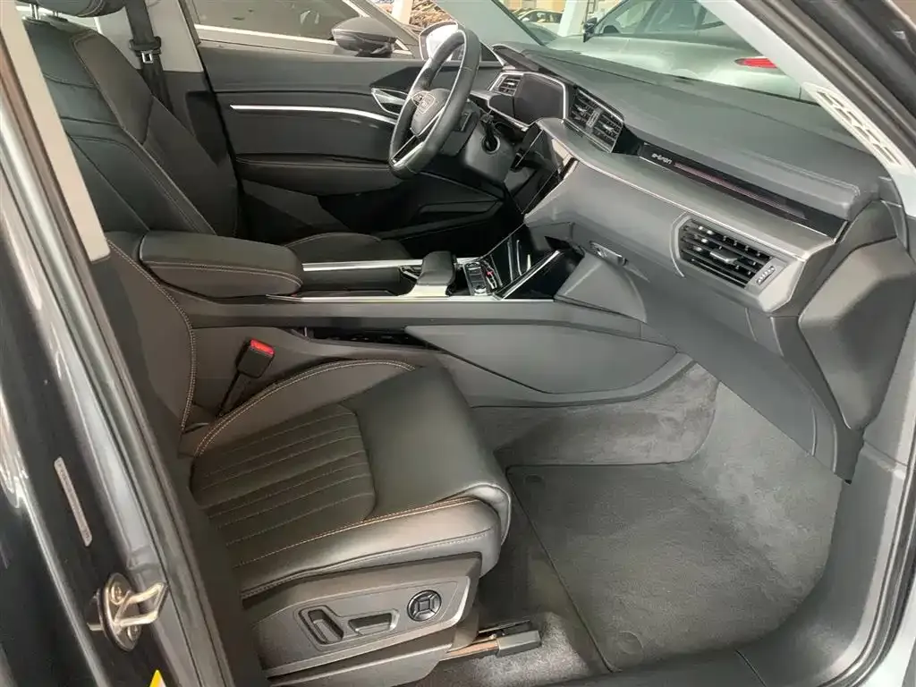 Audi e-tron 2022 из CN, фото 6