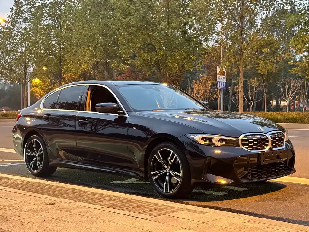 BMW 3 Series 2023 из CN, фото 3