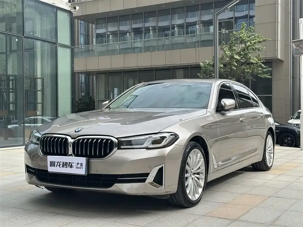 BMW 5 Series 2023 из CN, фото 1