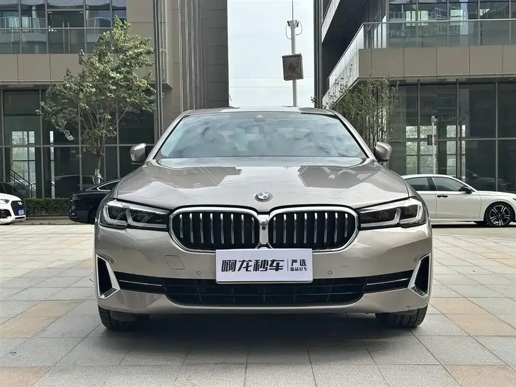 BMW 5 Series 2023 из CN, фото 2