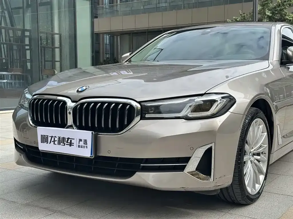 BMW 5 Series 2023 из CN, фото 3