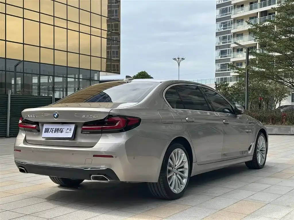 BMW 5 Series 2023 из CN, фото 4