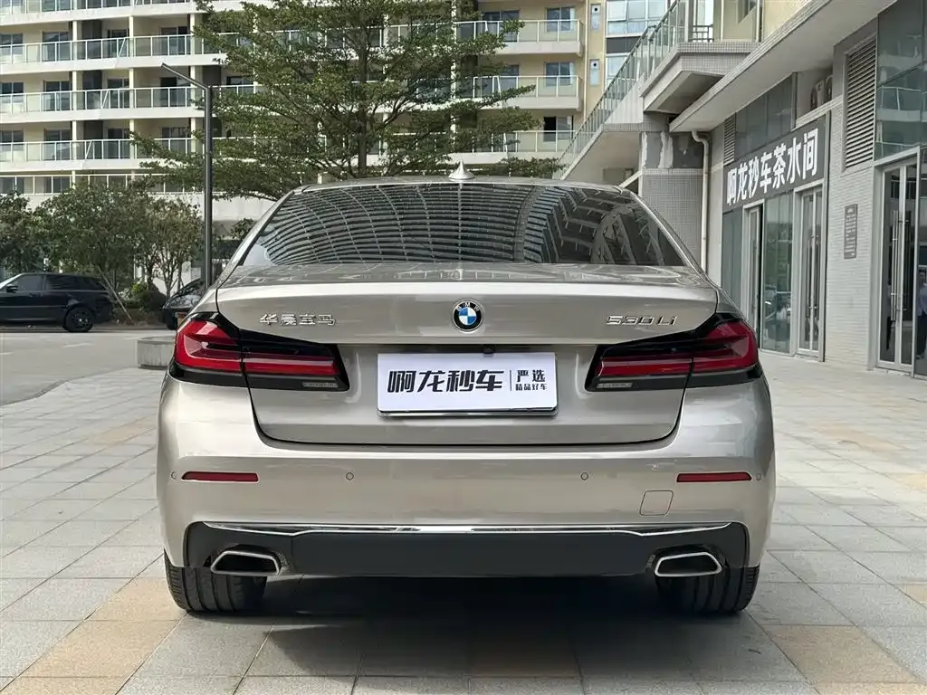 BMW 5 Series 2023 из CN, фото 6