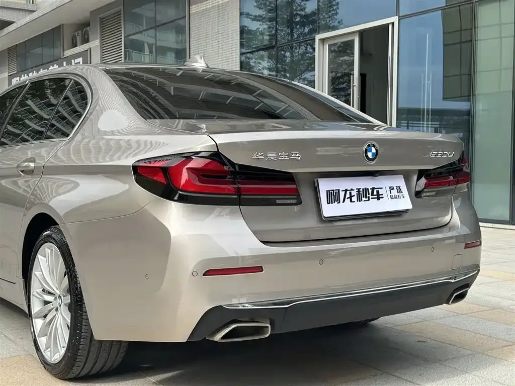 BMW 5 Series 2023 из CN, фото 7