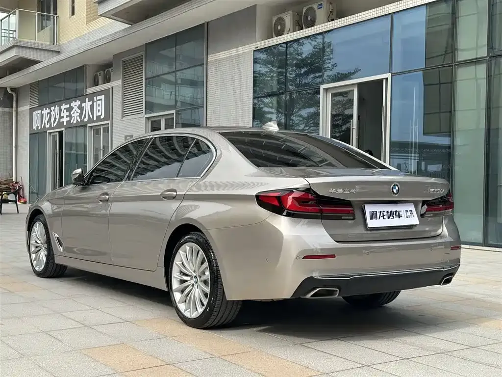 BMW 5 Series 2023 из CN, фото 8