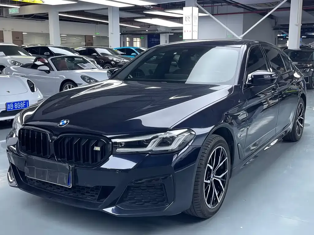 BMW 5 Series 2022 из CN, фото 1