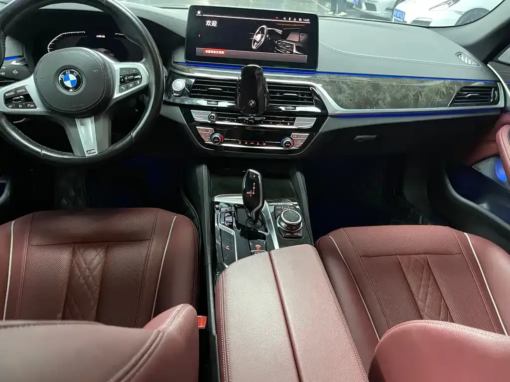 BMW 5 Series 2022 из CN, фото 10