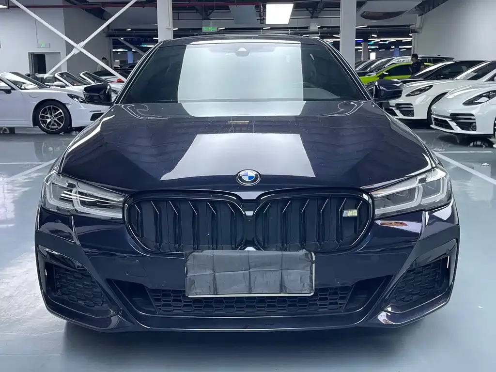 BMW 5 Series 2022 из CN, фото 2