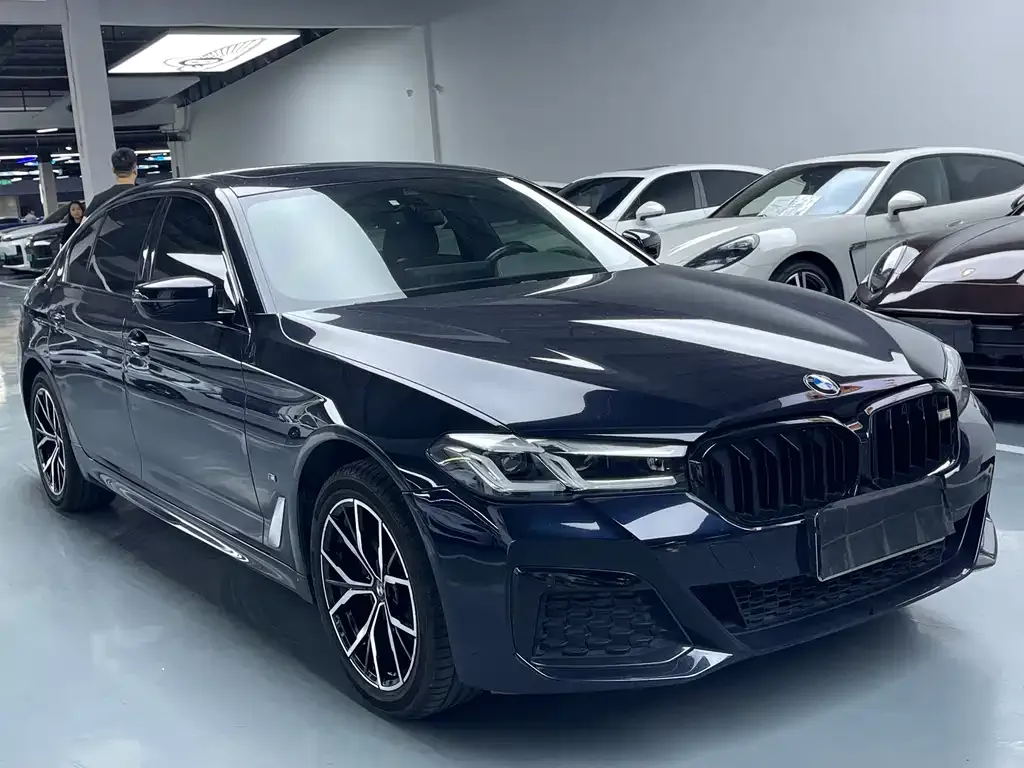 BMW 5 Series 2022 из CN, фото 3