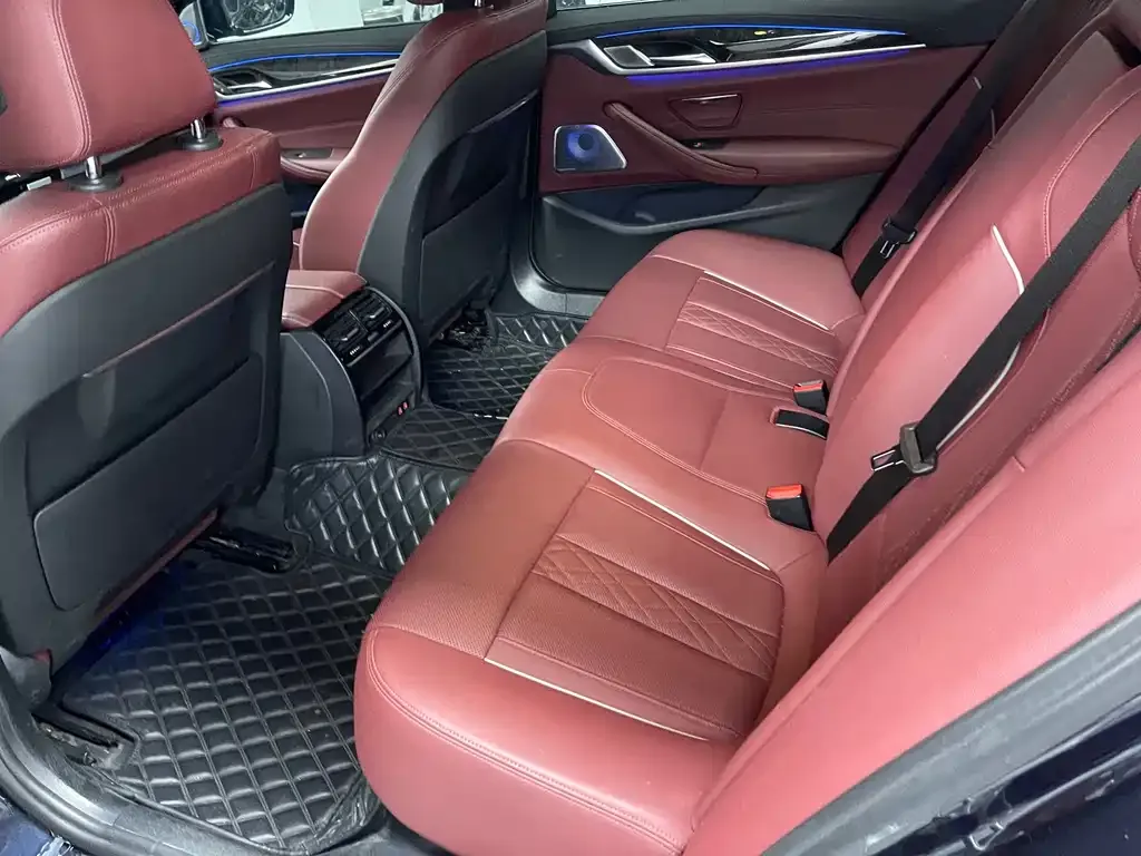 BMW 5 Series 2022 из CN, фото 8