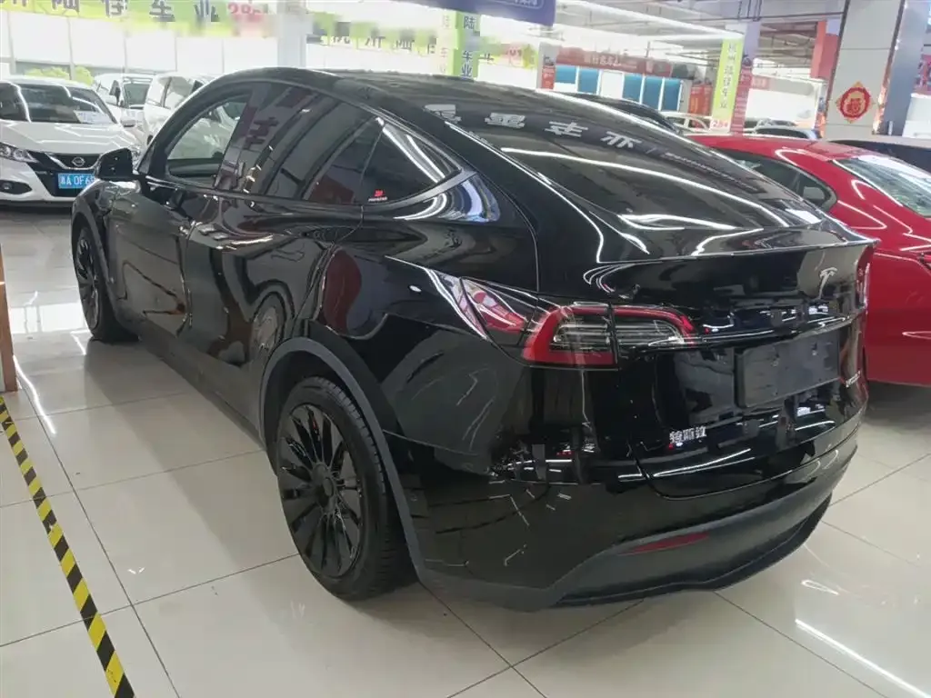 Tesla Model Y 2021 из CN, фото 5