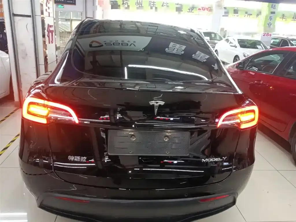 Tesla Model Y 2021 из CN, фото 6