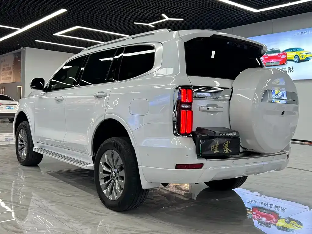 Tank 500 New Energy 2025 из CN, фото 2