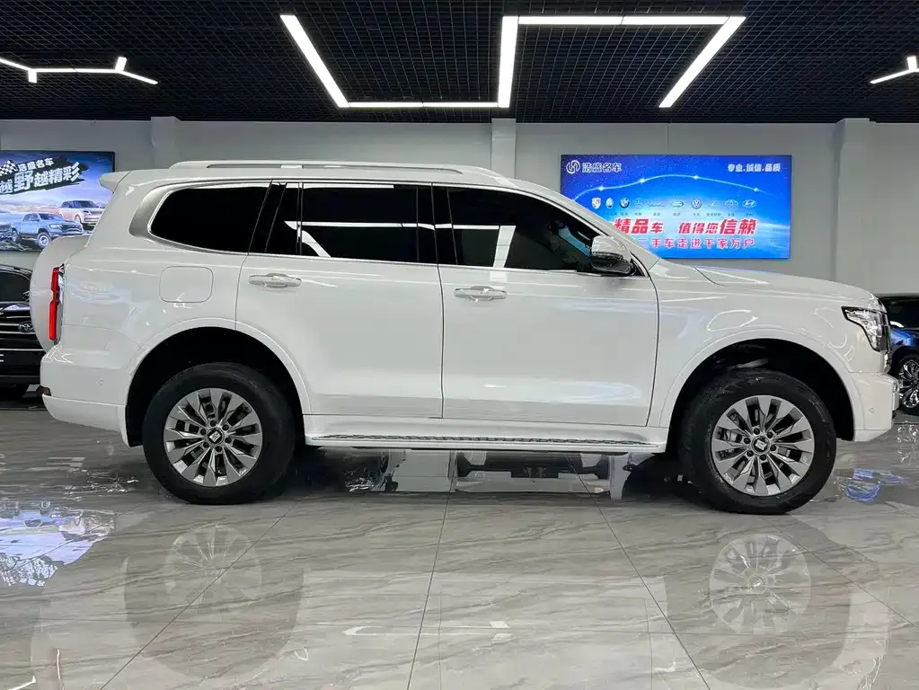 Tank 500 New Energy 2025 из CN, фото 3