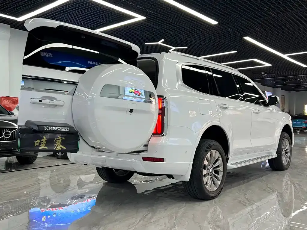 Tank 500 New Energy 2025 из CN, фото 5