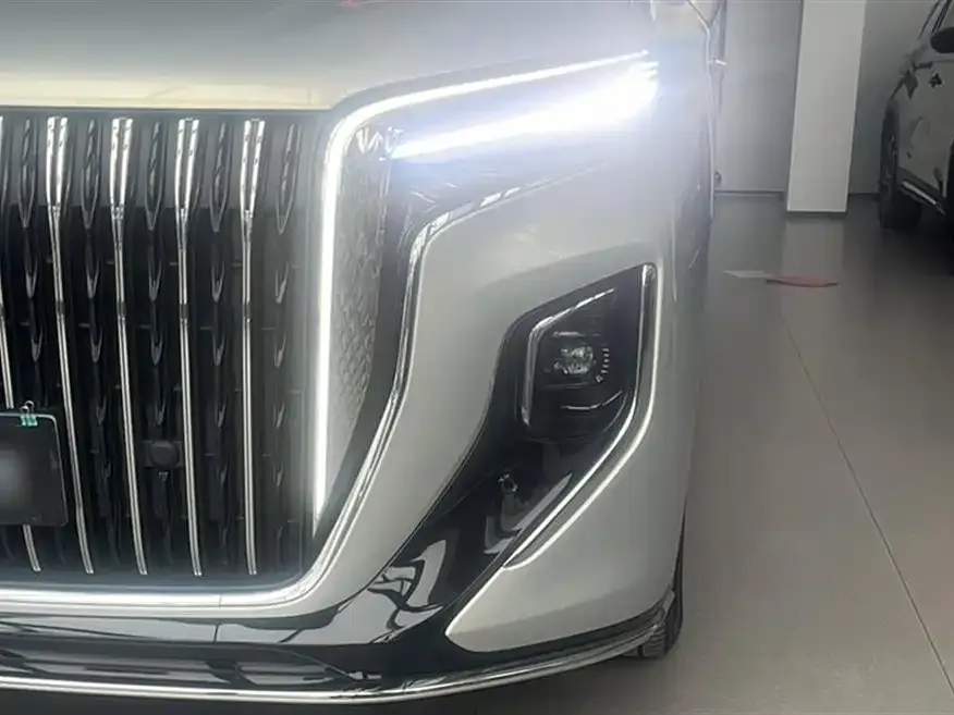 Hongqi HQ9 2023 из CN, фото 10