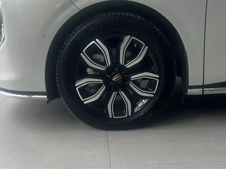 Hongqi HQ9 2023 из CN, фото 3