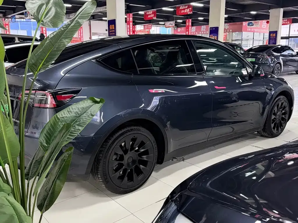 Tesla Model Y 2024 из CN, фото 6