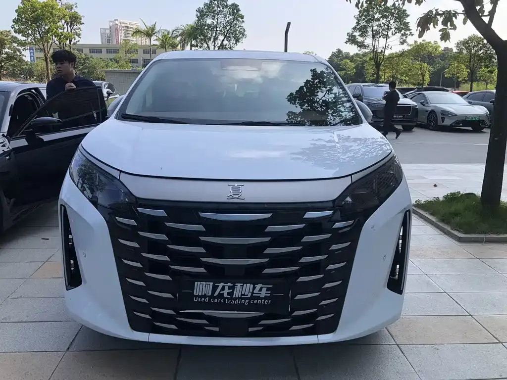 BYD Xia 2025 из CN, фото 2