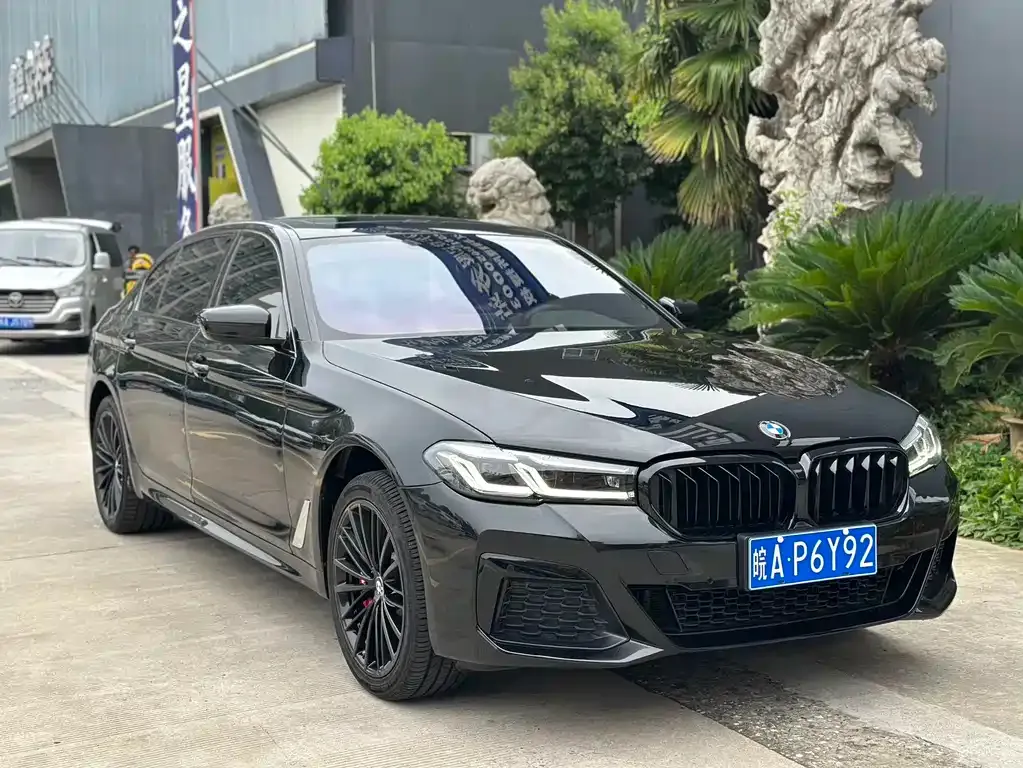 BMW 5 Series 2023 из CN, фото 3