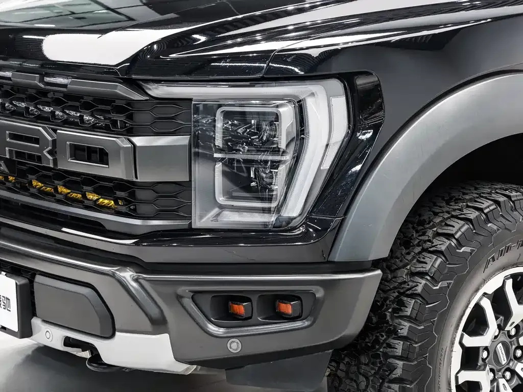 Ford F-150 Raptor 2024 из CN, фото 8