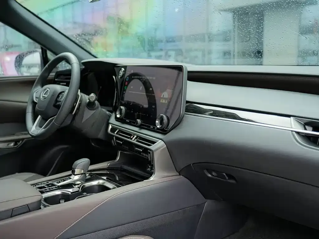 Lexus RX New Energy 2024 из CN, фото 10
