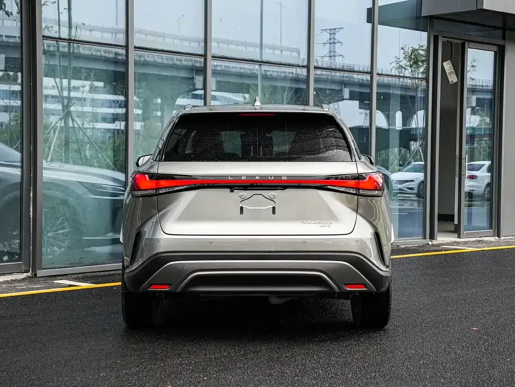 Lexus RX New Energy 2024 из CN, фото 5