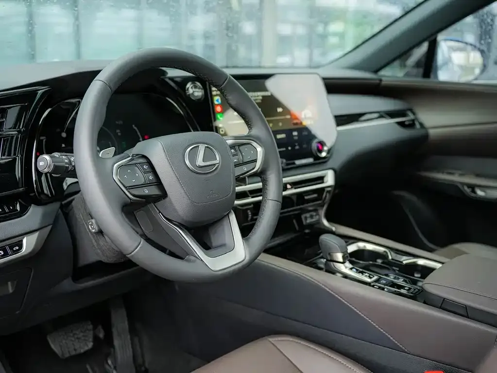 Lexus RX New Energy 2024 из CN, фото 9
