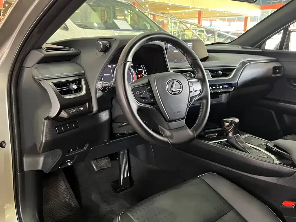 Lexus UX 2021 из CN, фото 7