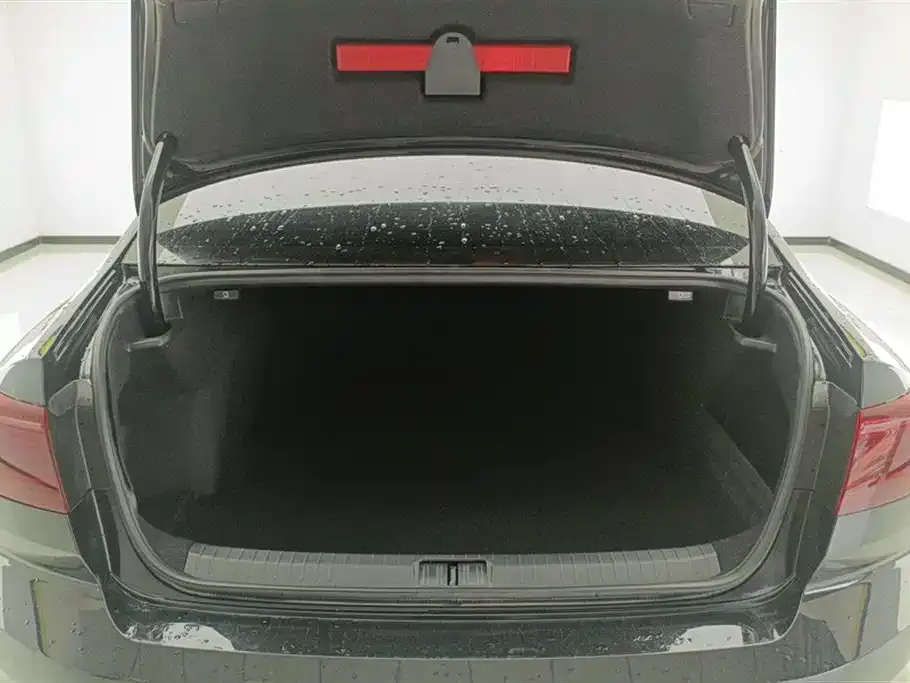 Volkswagen Magotan 2024 из CN, фото 4