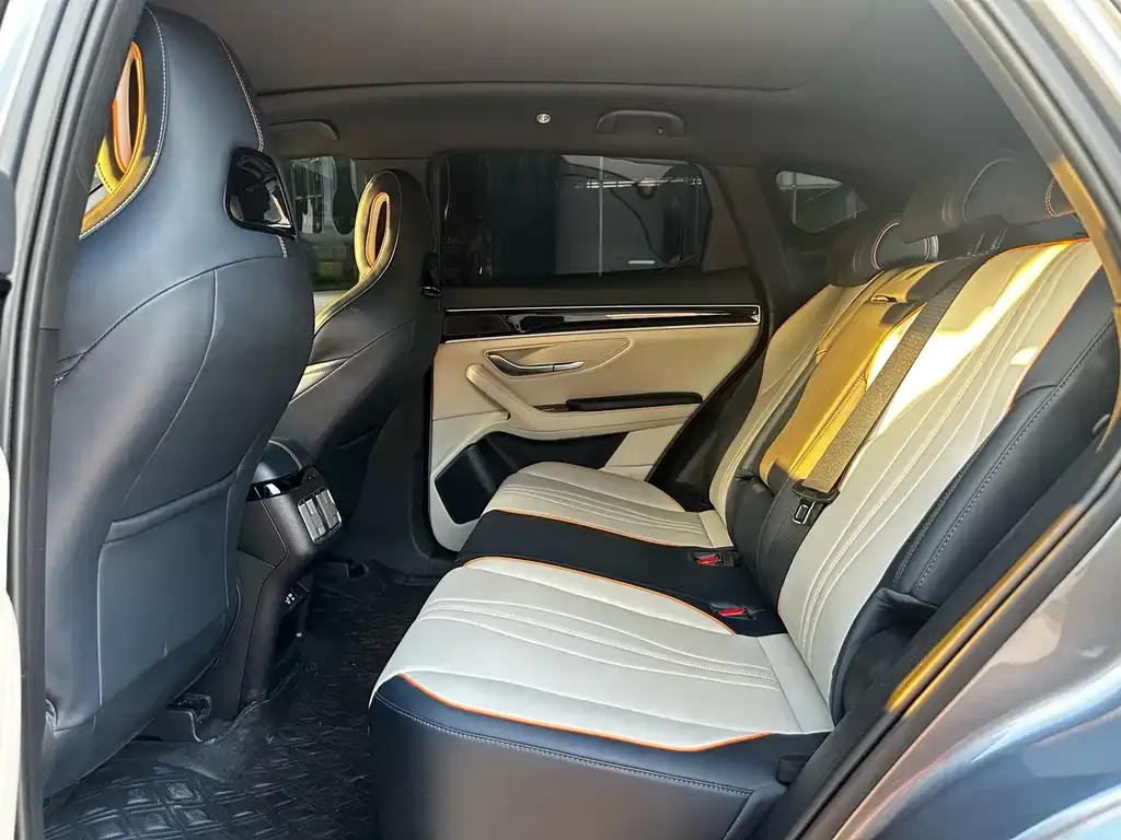 BYD PLUS New Energy 2023 из CN, фото 10