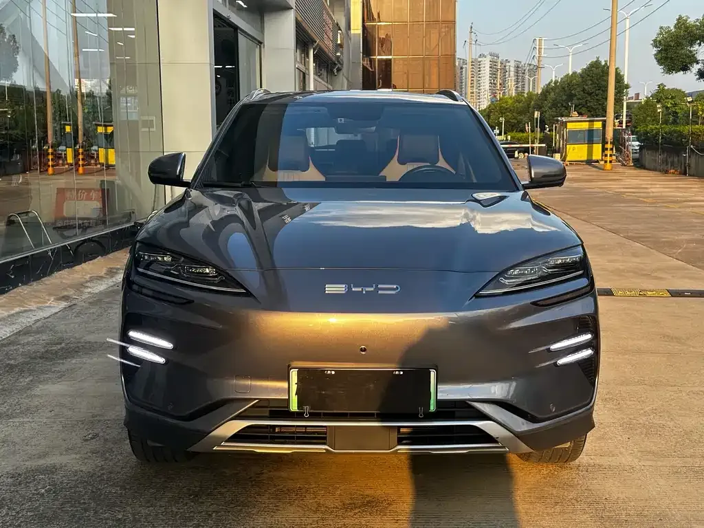 BYD PLUS New Energy 2023 из CN, фото 2