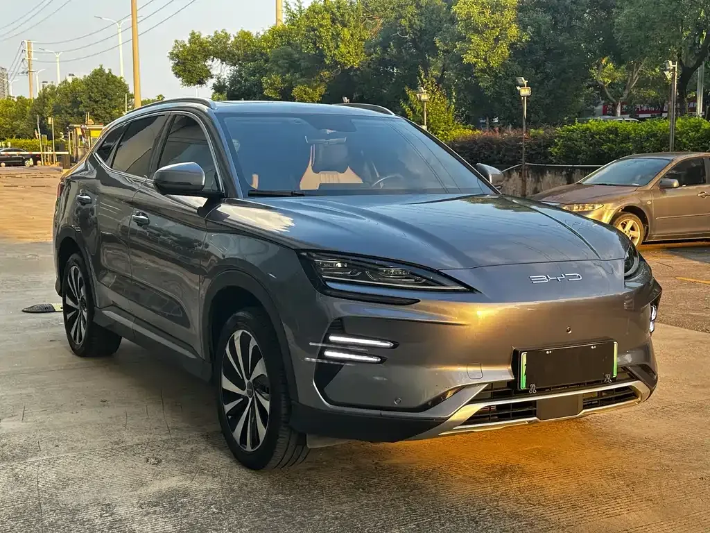 BYD PLUS New Energy 2023 из CN, фото 3