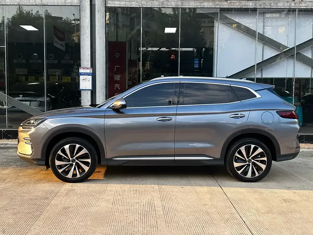 BYD PLUS New Energy 2023 из CN, фото 4