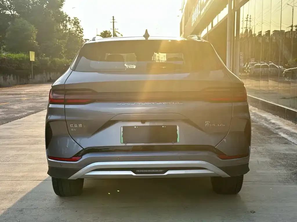 BYD PLUS New Energy 2023 из CN, фото 6