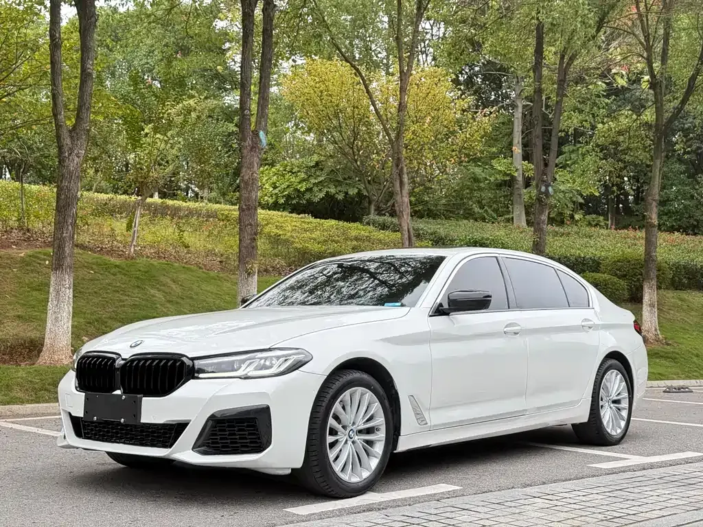 BMW 5 Series 2024 из CN, фото 1