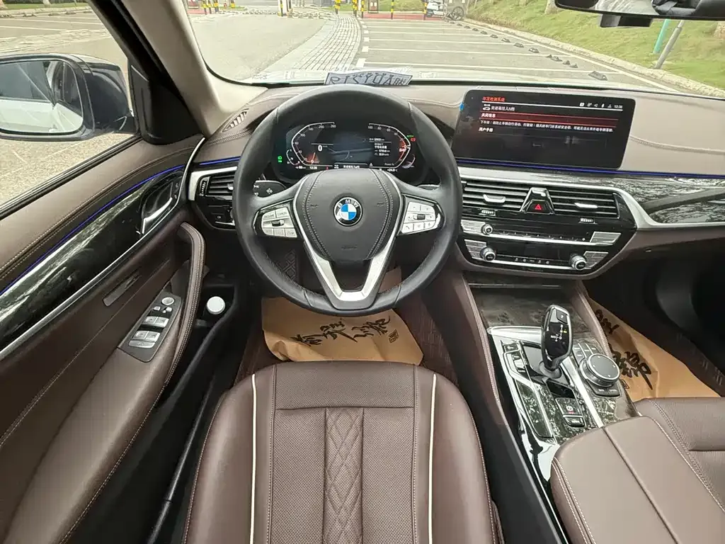 BMW 5 Series 2024 из CN, фото 10