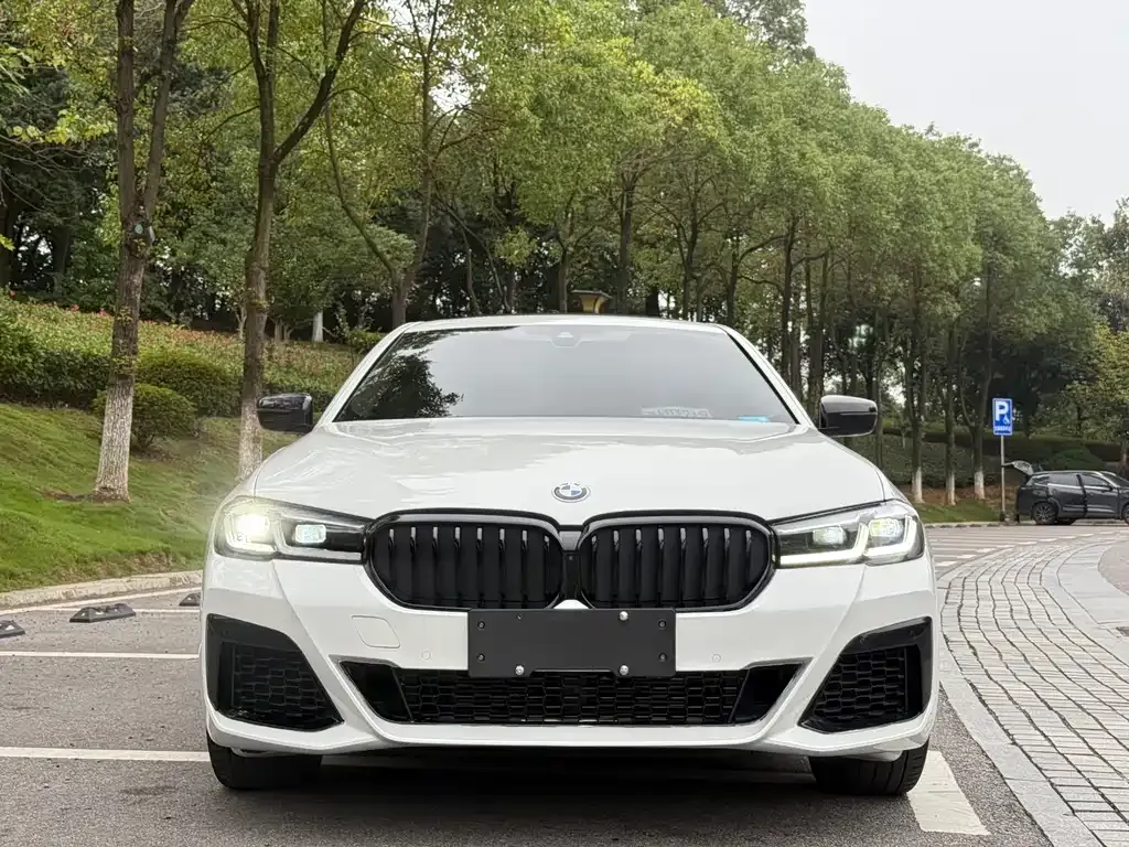 BMW 5 Series 2024 из CN, фото 2