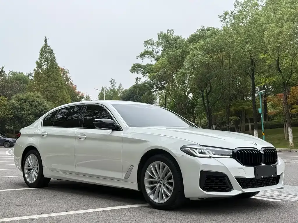 BMW 5 Series 2024 из CN, фото 3