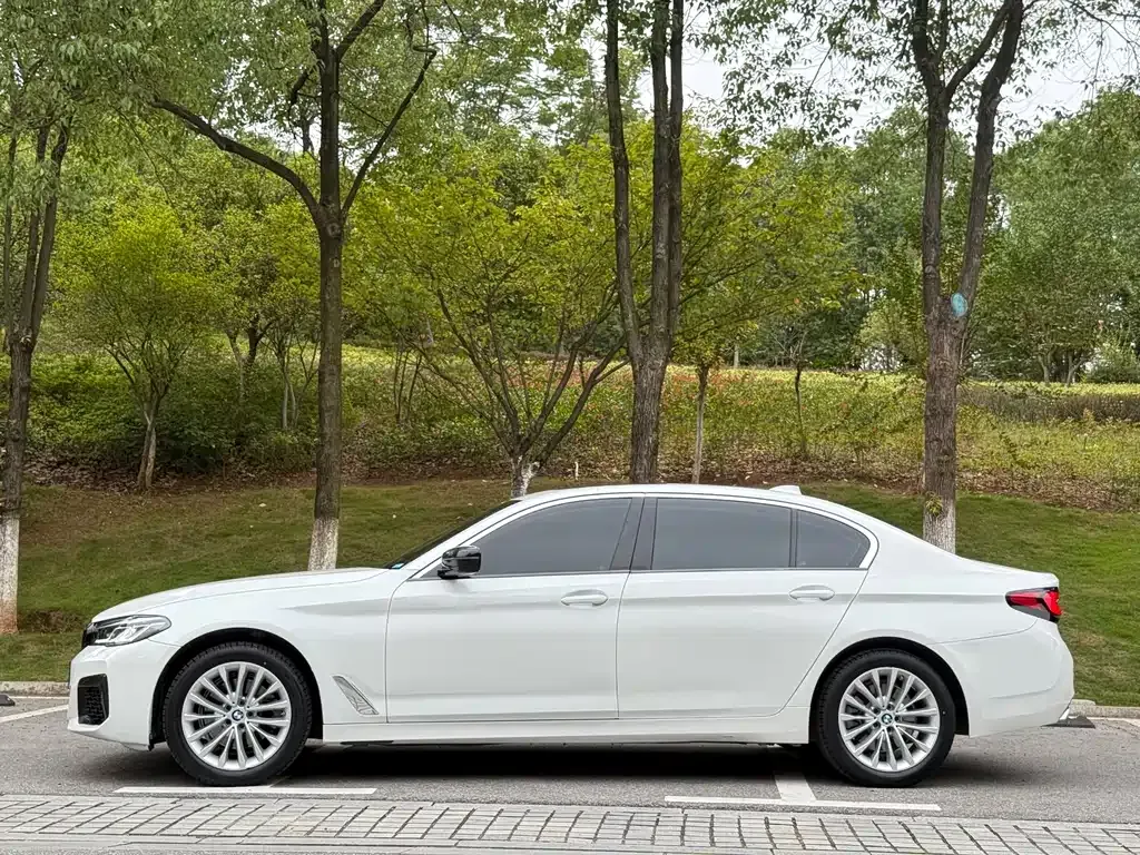 BMW 5 Series 2024 из CN, фото 4