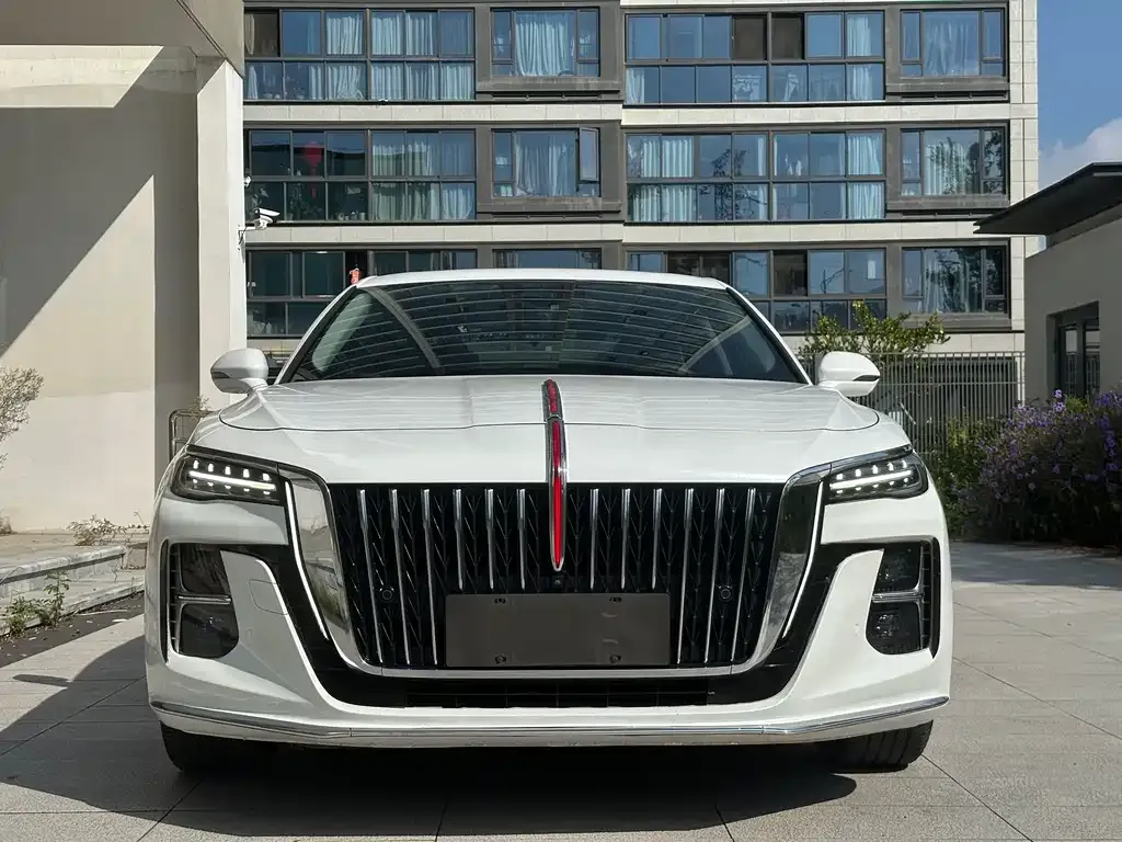 Hongqi H5 2023 из CN, фото 2