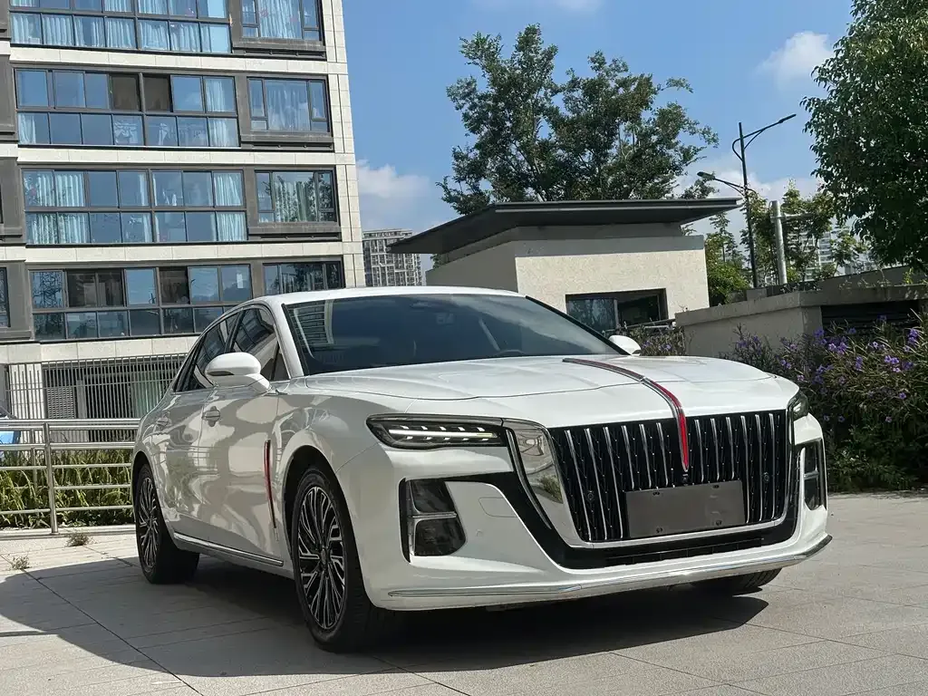 Hongqi H5 2023 из CN, фото 3