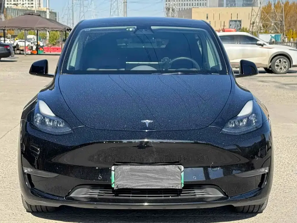 Tesla Model Y 2021 из CN, фото 1